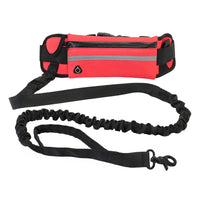 High Visibility Hands-Free Dog Leash Pet Leash Reflective with Waist Bag 